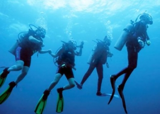  diving in Brittany